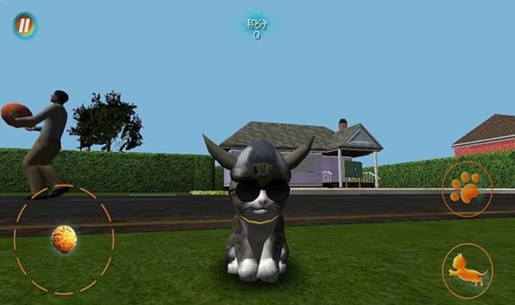 真实小猫3d模拟最新版下载