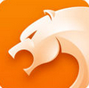 猎豹浏览器极速版 v5.13.2