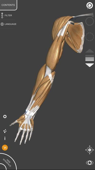 艺术家之3D解剖图安卓最新版下载