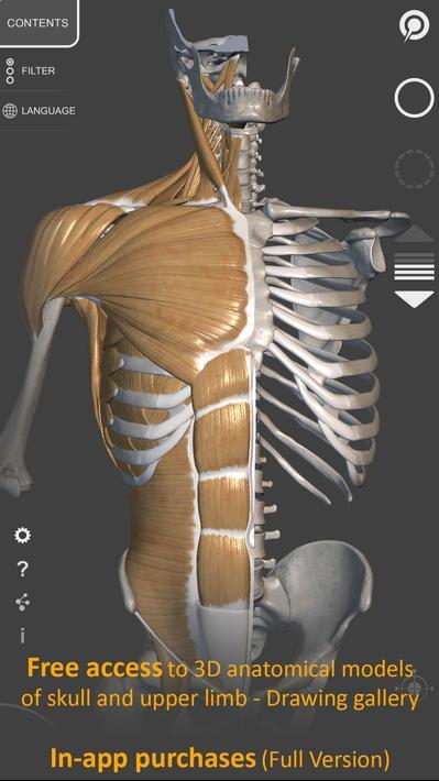 艺术家之3D解剖图安卓最新版下载